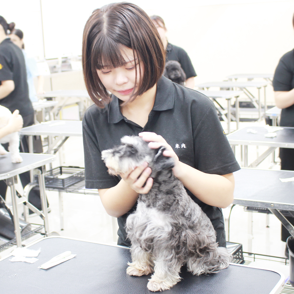 動物看護実習☆